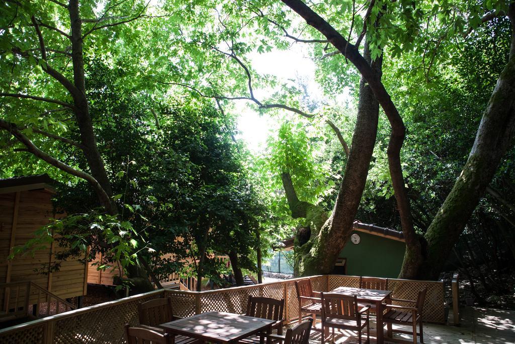 Ekinoks Hotel - Adults Only Çıralı Esterno foto